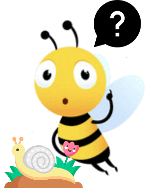 FAQ-wasp spring-2 FAQ-wasp spring-2